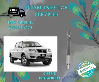 Tata Xenon 3l Injector Recon