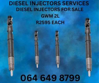 Gwm 2l Delphi Diesel Injectors For Sale With 6 Months Warranty