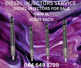 Gwm 2l Delphi Diesel Injectors For Sale Or Recon Your Own