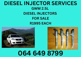 Gwm 2.5 Diesel Injectors For Sale Or Recon Your Own