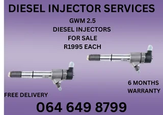 Gwm 2.5 Diesel Injectors With Washers For Sale Or Recon Your Own