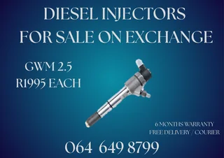 We Can Recon Your Gwm 2.5 Diesel Injectors With Copper Washers And 6 Months Warranty