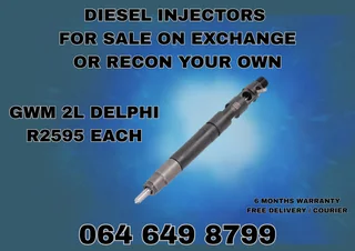 We Can Recon Your Gwm 2l Delphi Diesel Injectors
