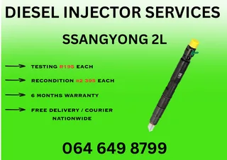 Ssangyong 2l Delphi Diesel Injectors For Sale Or Recon Your Own Washers And Warranty Included