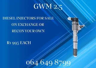 Gwm 2.5 Diesel Injectors With Washers For Sale
