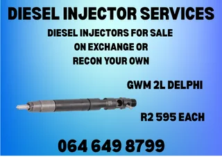Gwm 2l Delphi Diesel Injectors With Washers For Sale Or Recon Your Own
