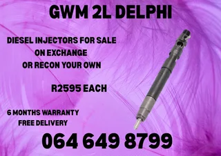 We Can Recon Your Gwm 2l Delphi Diesel Injectors With 6 Months Warranty Included