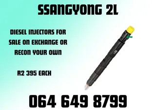 Sssangyong 2l Diesel Injectors For Sale Or Recon Your Own Washers And Warranty Included