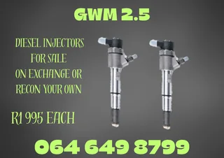 We Can Recon Your Gwm 2.5 Diesel Injectors 6 Months Warranty Included