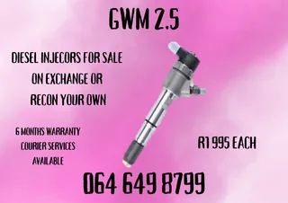 Gwm 2.5 Diesel Injectors With Copper Washers For Sale