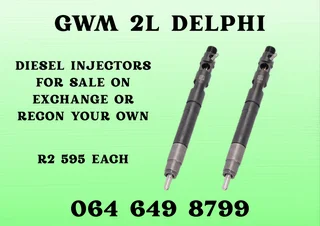 We Can Recon Your Gwm 2l Delphi Diesel Injectors