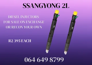 Ssangyong 2l Delphi Diesel Injectors For Sale