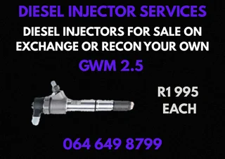 Gwm 2.5 Diesel Injectors With Washers For Sale