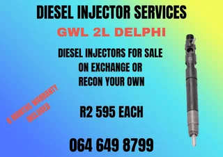 Gwm 2l Delphi Diesel Injectors With Washers For Sale Or Recon Your Own