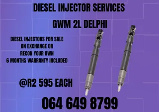 Gwm 2l Delphi Diesel Injectors With Washers For Sale Or Recon Your Own Warranty Included