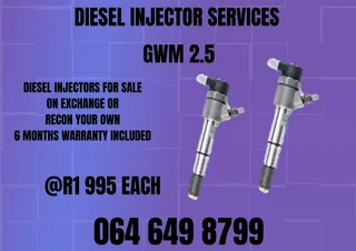 Gwm 2.5 Diesel Injectors With Washers For Sale