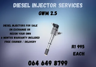 Gwm 2.5 Diesel Injectors With Washers For Sale Or Recon Your Own