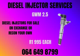 Gwm 2.5 Diesel Injectors With Washers For Sale Or Recon Your Own