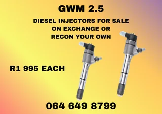 Gwm 2.5 Diesel Injectors With Washers For Sale Or Recon Your Own