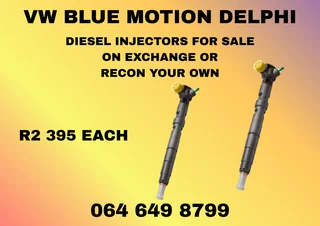 We Can Recon Your Vw Blue Motion Delphi Diesel Injectors Warranty Included