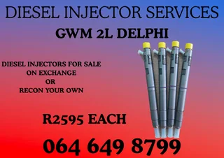 Gwm 2l Delphi Diesel Injectors With Washers For Sale Or Recon Your Own