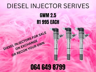 Gwm 2.5 Diesel Injectors For Sale On Exchange Or Recon Your Own