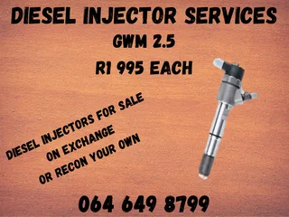 Gwm 2.5 Diesel Injectors For Sale On Exchange Or Recon Your Own