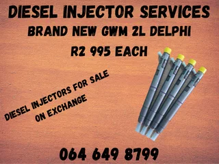 Brand New Gwm 2l Delphi Diesel Injectors For Sale On Exchange