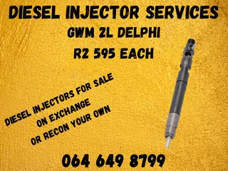 We Can Recon Your Gwm 2l Delphi Diesel Injectors Copper Washers And 6 Months Warranty Included