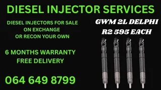 We Can Recon Your Gwm 2l Delphi Diesel Injectors With Copper Washers And Warranty