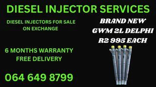 Brand New Gwm 2l Delphi Diesel Injectors For Sale