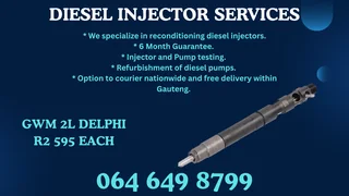 We Can Recon Your Gwm 2l Delphi Diesel Injectors Washers And Warranty Included