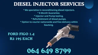 Ford Figo 1.4 Diesel Injectors With Washers For Sale Or Recon Your Own