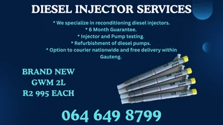 Brand New Gwm 2l Delphi Diesel Injectors For Sale On Exchange