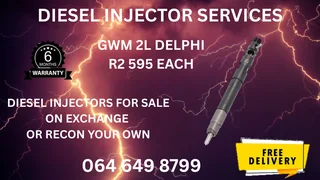 We Can Recon Your Gwm 2l Delphi Diesel Injectors Washers And Warranty Included
