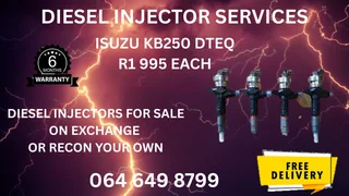 We Can Recon Your Isuzu Kb250 Dteq Diesel Injectors