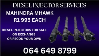 Recon Your Mahindra Mhawk Diesel Injectors 6 Months Warranty Included