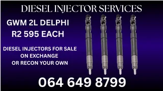 Recon Your Gwm 2l Delphi Diesel Injectors Copper Washers And Warranty Included