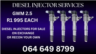 Gwm 2.5 Diesel Injectors For Sale On Exchange Or Recon Your Own