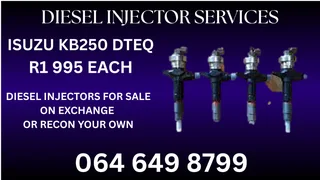We Can Recon Your Isuzu Kb250 Dteq Diesel Injectors