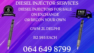 Gwm 2l Delphi Diesel Injectors With Washers For Sale On Exchange