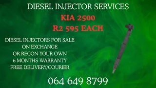 Let Us Recon Your Kia 2500 Diesel Injectors