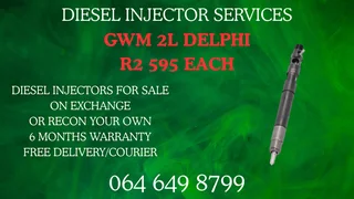 Recon Your Gwm 2l Delphi Diesel Injectors Washers And Warranty Included