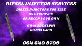 Gwm 2l Delphi Diesel Injectors With Washers For Sale Or Recon Your Own