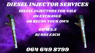 Gwm 2.5 Diesel Injectors With Washers For Sale Or Recon Your Own