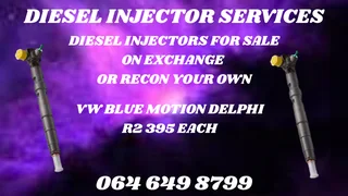 We Can Recon Your Vw Blue Motion Delphi Diesel Injectors Warrnty Included