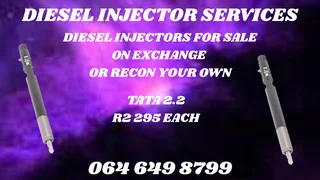 Tata 2.2 Diesel Injectors For Sale On Exchange Or Recon Your Own Copper Washers Included