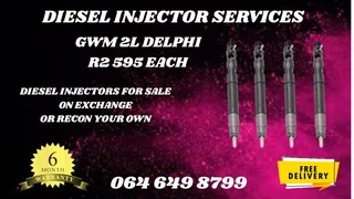 Gwm 2l Delphi Diesel Injectors For Sale On Exchange Washers And Warranty Included
