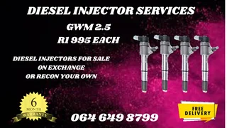 Gwm 2.5 Diesel Injectors For Sale Or Recon Your Own