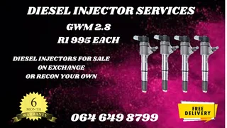 Gwm 2.8 Diesel Injectors For Sale Or Recon Your Own Washers Included